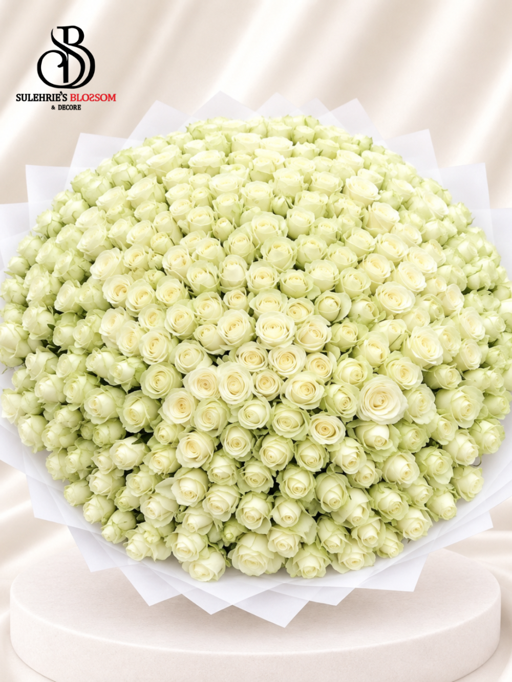 IVORY MAJESTY 300 ROSE'S GRANDEUR